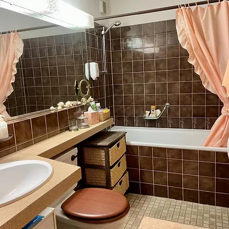 Small Bijoux Disentiserhof Διαμέρισμα