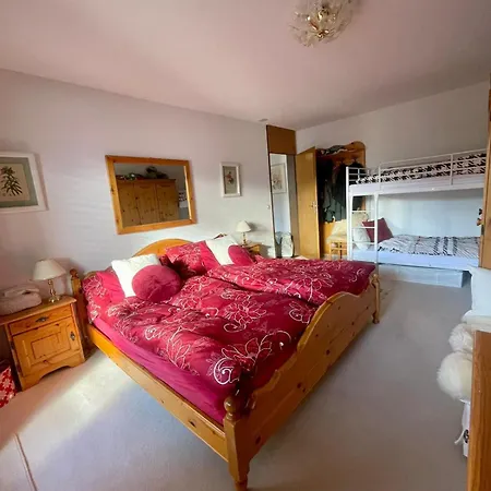 Small Bijoux Disentiserhof Apartment Disentis